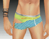 RV-Sexy Underwear