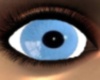 Light Blue doll eye's