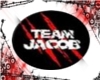 [B]י TEAM JACOB