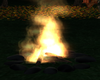 Cozy Autumn Campfire {F}