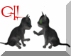 GIL"Cute Kittens black