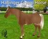 |DRB| Haflinger Horse