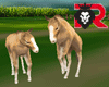 🦁 Baby Ponys Animated