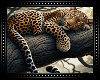 🐆 Sleeping Leopard BG