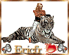 [Efr] Tiger Cuddle 6