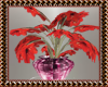 Red Lilly plant