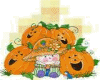 Pumpkin Boy