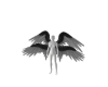 Nythera Wings