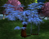 Spring Passion Tree Blue