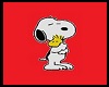 Snoopy N Woodstock Pic
