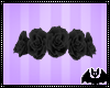 Black Rose Crown