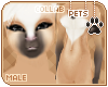 [Pets] Phar | abless fur