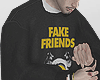 ♗ Fake Friends