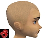 Anyskin shaved head 5