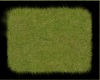 B.F Grass Patch