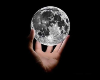 Cutout Moon