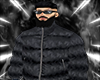 K - CD Winter Jacket v2