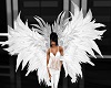 White Animated Wings