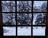 Snowing Deer Window
