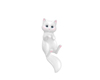Cute White Cat