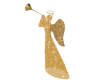 Angels Trumpet Decor