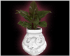[DD]RomanceMe-Plant