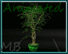 [MB] Green Plant Anim.