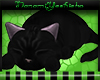 N| Jinx Black sleepy cat