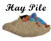 Hay Pile