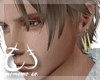 Zoro earrings ani