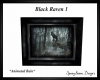 Black Raven1 Anim Rain