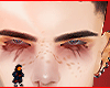 Galio brows
