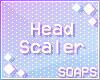 +Head Scaler DRV