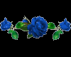 6v3| Blue Rose