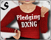 S| DXNG Kid Pledge Fit 1