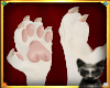 |LB|MaineCoon Paw Hands1