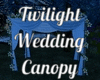 Twilight Wedding Canopy
