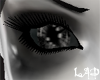 ~LAD~Darkness Eye FDa