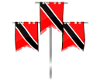 Trinidad Animated Flag