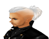 Snow Roger V1
