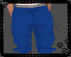 Blue Long Shorts