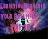 Beneath your beautiful