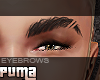 :::: Cut Brows