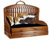 Country Swing Cow Print