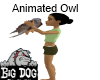 [BD] Animated Owl