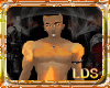 LDS- Burning Flame skin