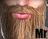 Beard Mr 