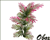 plant2