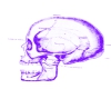 skull head sign