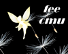 Light fee
